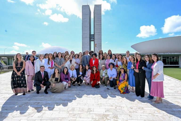 Bancada feminina da Câmara define pauta com 80 proposições contra feminicídio