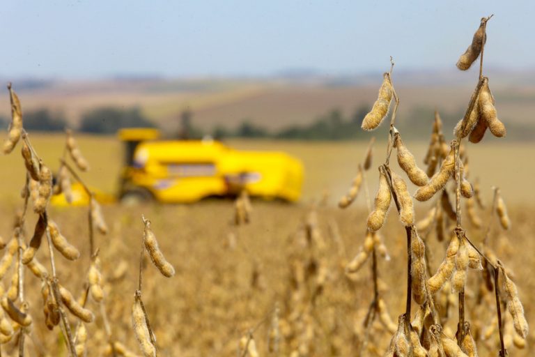 BNDES financiará agricultores atingidos por calamidades com R$ 30 bilhões do Fundo Social