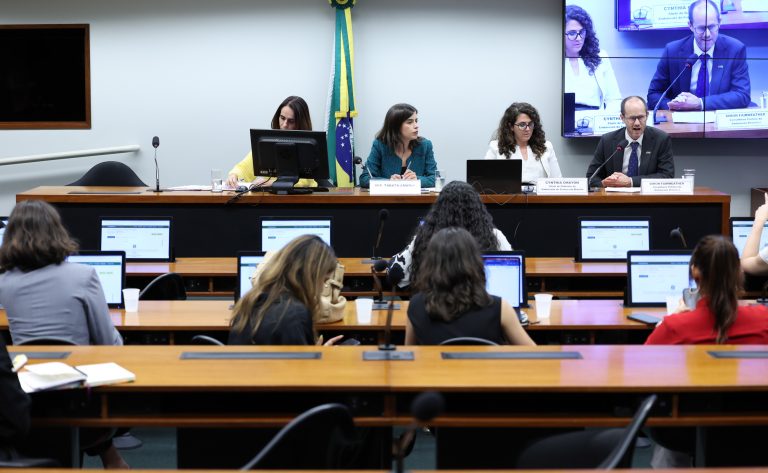 Câmara apresenta relatório final sobre criminalização da misoginia na quarta