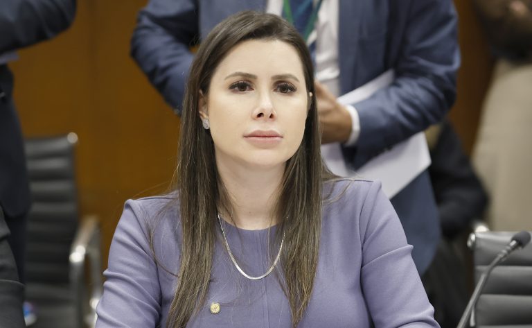 Câmara aprova acesso de vítimas de violência doméstica ao histórico criminal de agressores