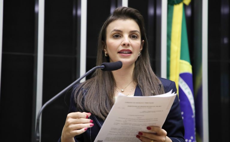 Câmara aprova padrão de qualidade para alho triturado para combater fraudes no setor