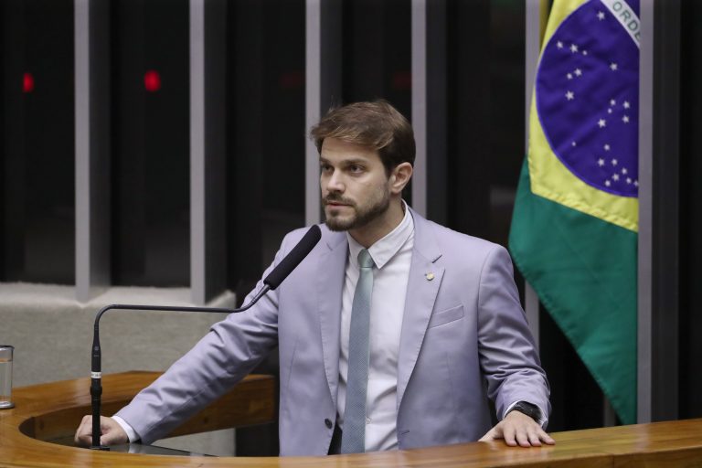Câmara aprova pena dobrada para incêndio florestal que causar morte de animais