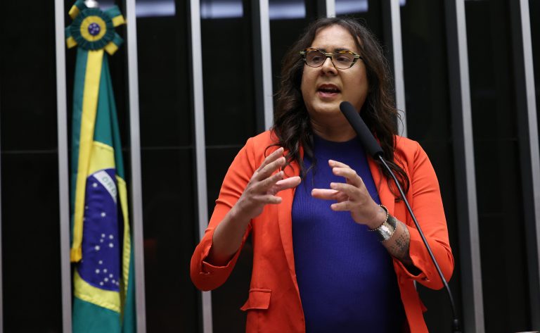 Câmara aprova plano nacional contra atropelamentos de animais silvestres