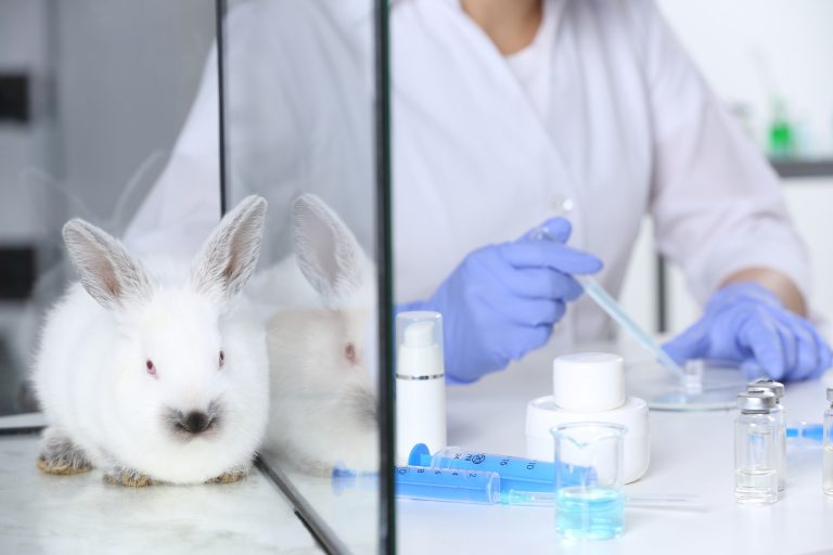 Câmara Aprova Proibição do Uso de Animais em Testes de Cosméticos no Brasil