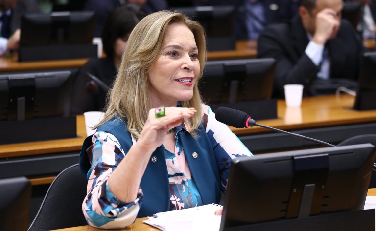 Câmara aprova projeto que obriga municípios a garantir acessibilidade em praias para pessoas com deficiência