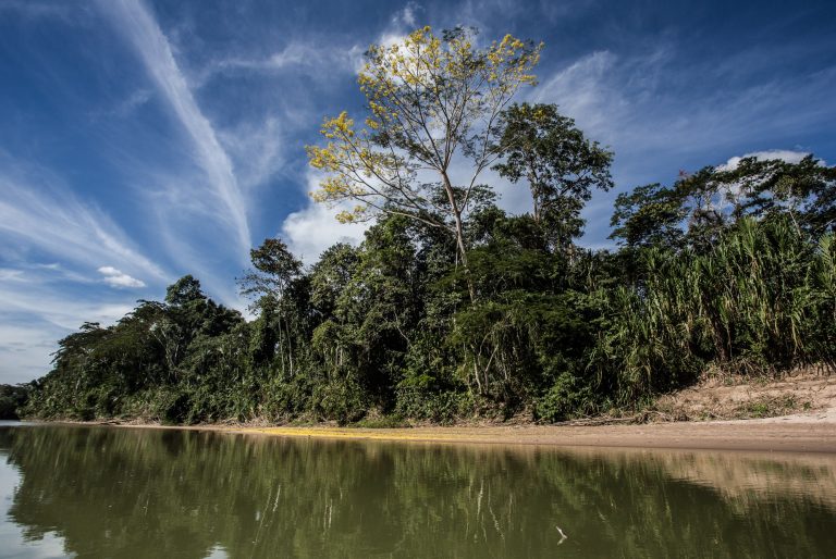 Câmara aprova projeto que simplifica licenciamento ambiental no Brasil
