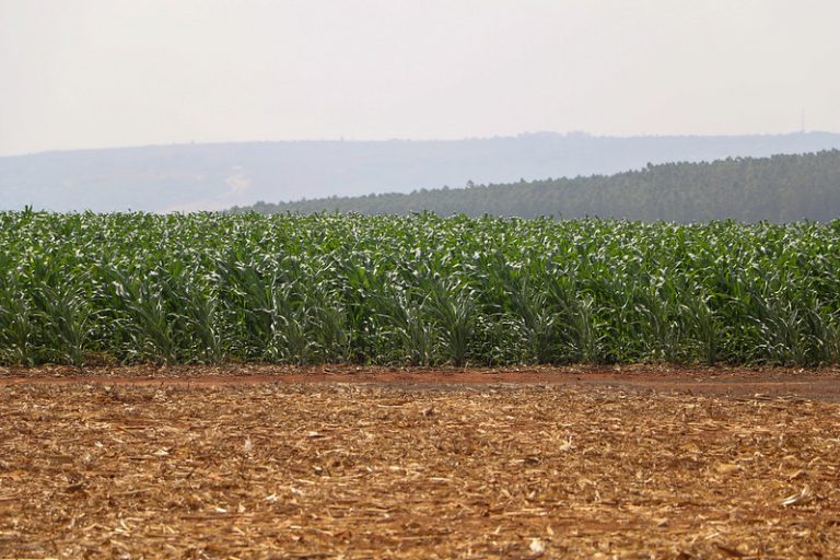 Câmara aprova R$ 10 bi em incentivos para indústria nacional de fertilizantes