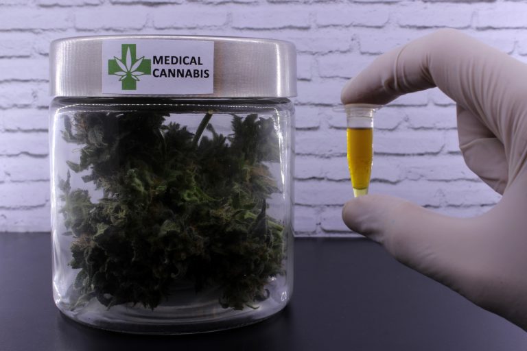 Câmara debate apoio legal a associações de cannabis medicinal para pessoas com deficiência