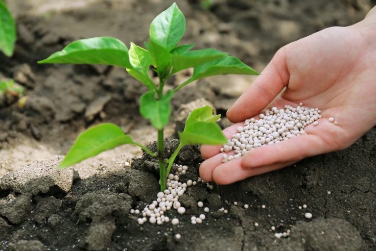 Câmara debate aproveitamento do gás natural para produção de fertilizantes no Brasil
