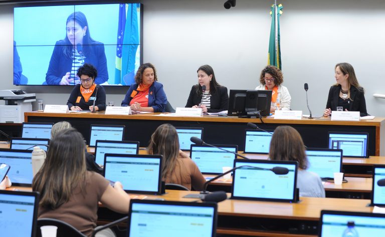 Câmara debate contratação de doulas no SUS para combater violência obstétrica e reduzir mortalidade materna