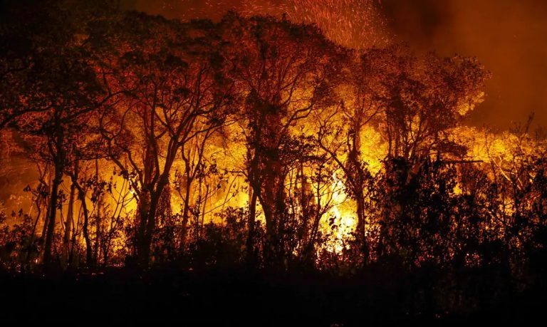Câmara debate criação do crime de ecocídio para punir destruição ambiental grave