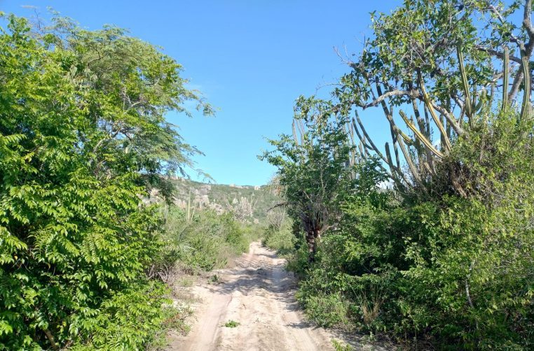 Câmara debate desenvolvimento sustentável do Vale do Catimbau (PE)