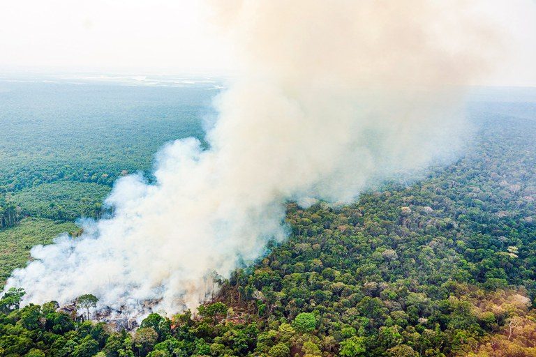Câmara debate estratégias contra fumaça tóxica e queimadas na Amazônia em seminário