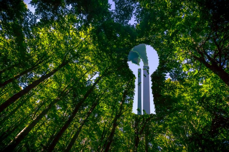 Câmara debate greenwashing e seus impactos no consumidor brasileiro