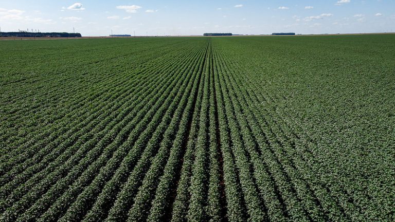 Câmara debate impacto dos CBios no agronegócio em audiência pública