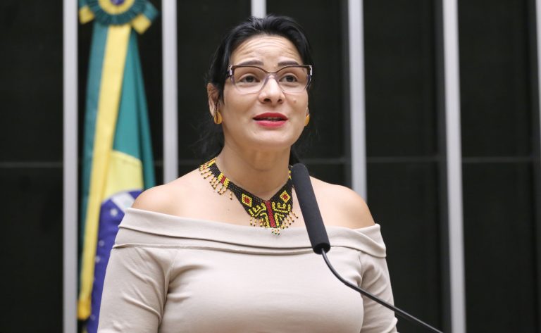 Câmara debate implementação do 'Pacote de Belém' pós-COP30 em audiência