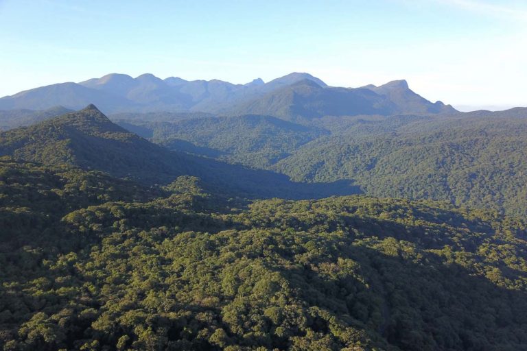 Câmara debate Mata Atlântica como infraestrutura de adaptação climática