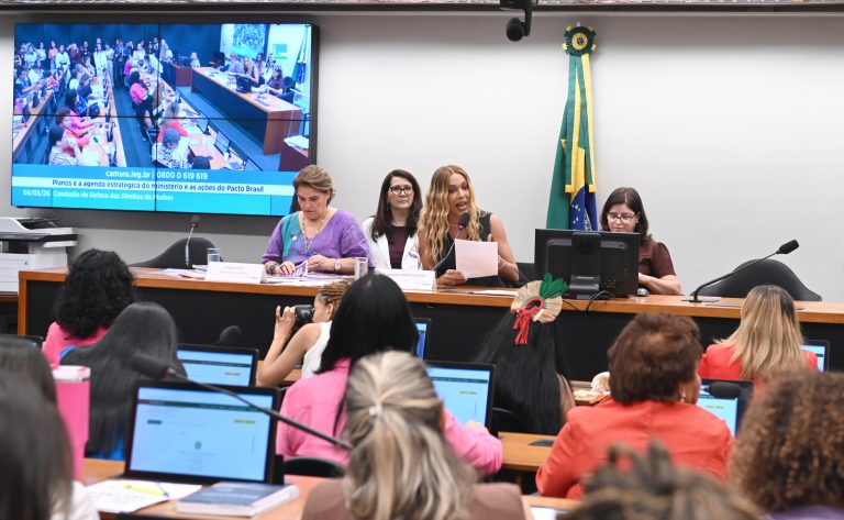 Câmara debate maternidade e responsabilidade coletiva em audiência pública