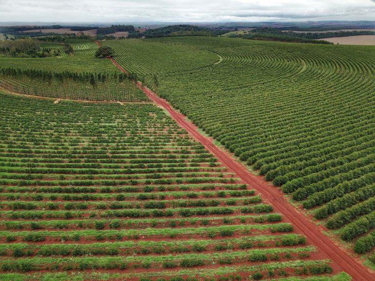 Câmara debate reativação de fábricas de fertilizantes na Bahia e Sergipe
