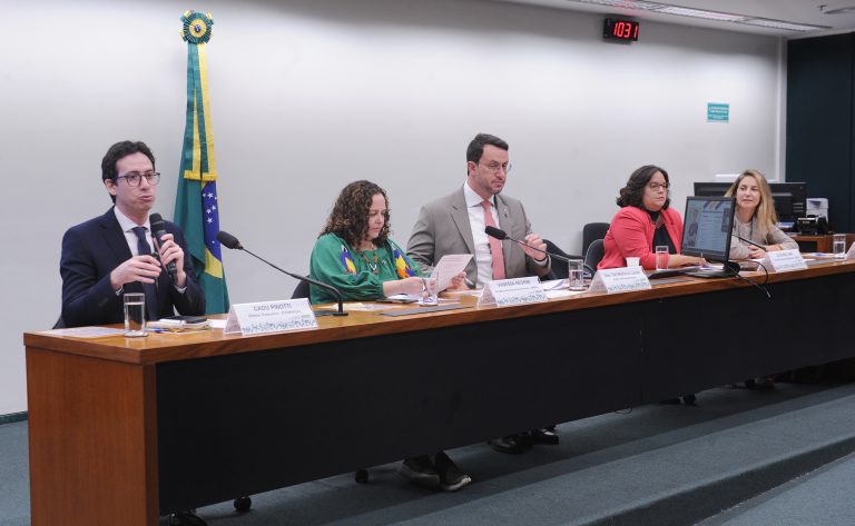 Câmara debate superlotação de abrigos de animais e falta de apoio a ONGs