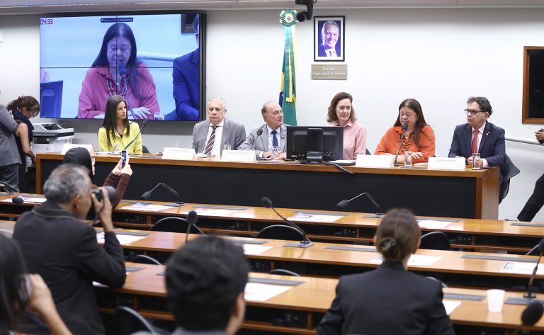 Câmara dos Deputados debate priorização de investimentos na primeira infância durante seminário
