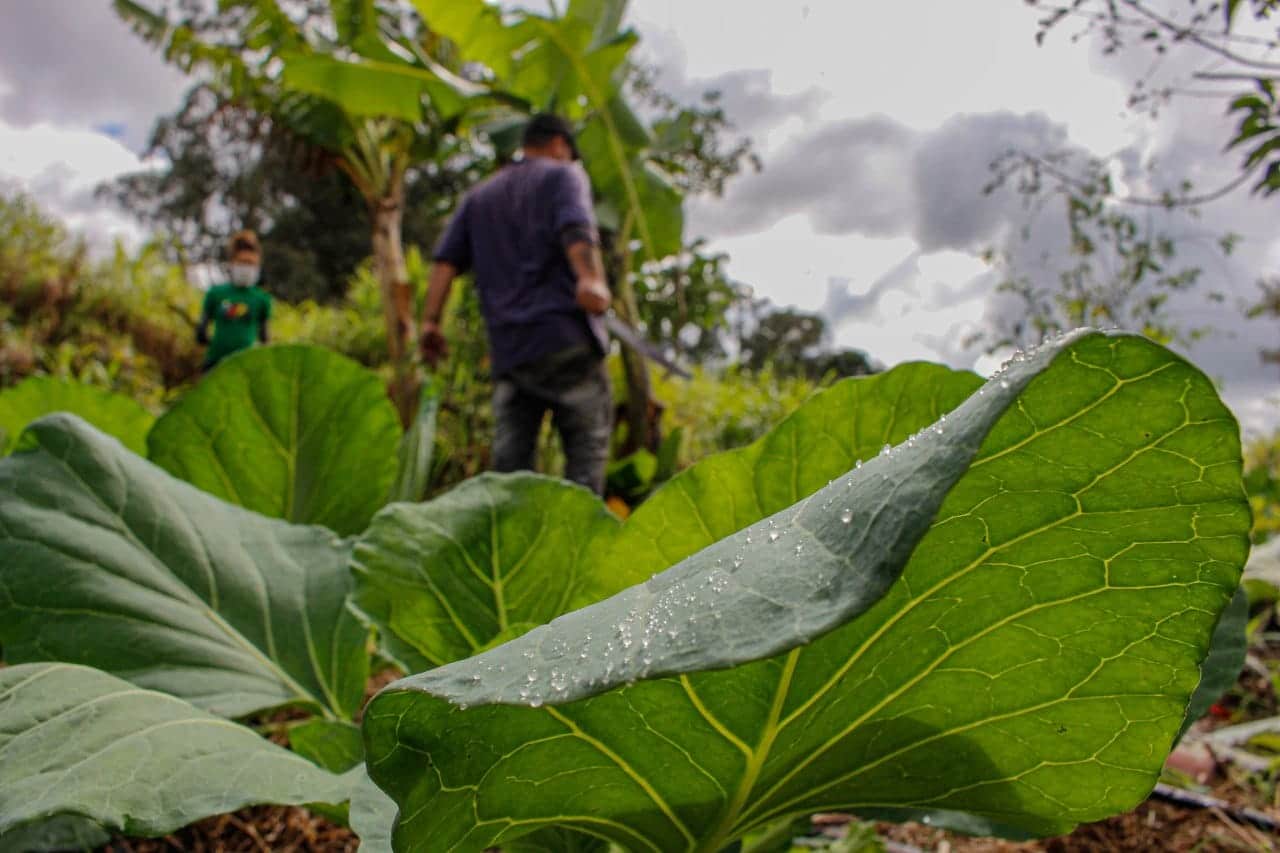 Câmara: Projeto cria assentamentos produtivos próximos a centros urbanos