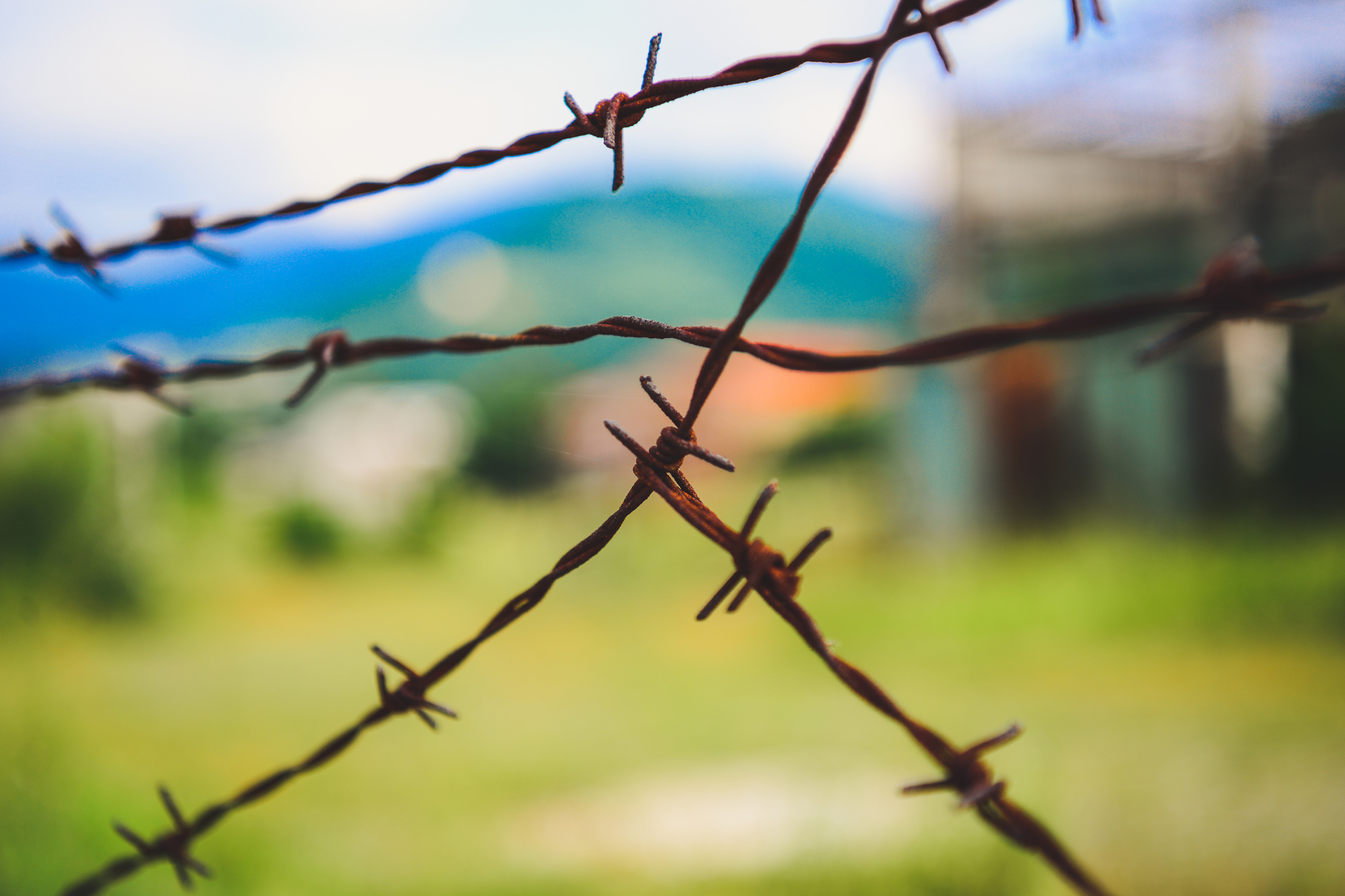 Câmara: Projeto tipifica terrorismo rural e sabotagem agropecuária