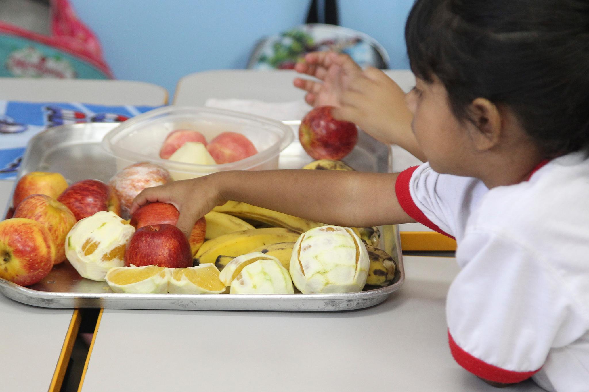 Câmara: Projeto torna obrigatória aula de educação alimentar nas escolas