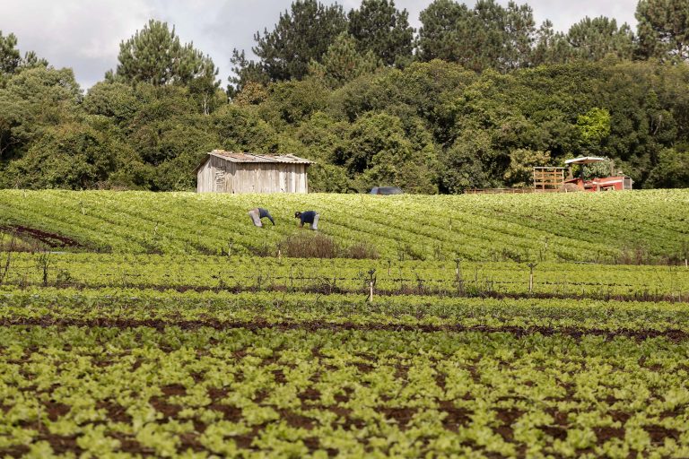 Câmara promove seminário sobre participação das cooperativas da agricultura familiar na COP 30