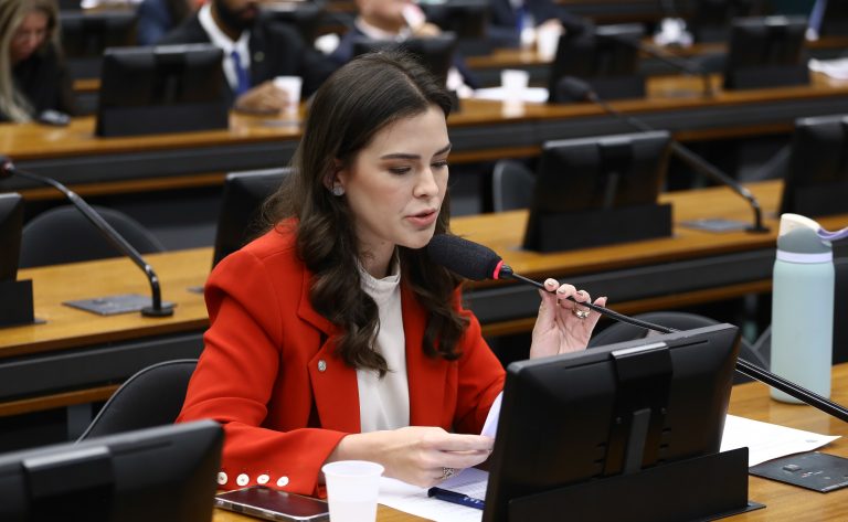 CCJ aprova prioridade para gestantes e lactantes em epidemias