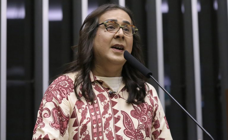 CCJ aprova propaganda eleitoral bilíngue para incluir indígenas e imigrantes