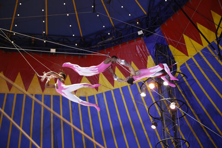Circo é reconhecido oficialmente como manifestação da cultura nacional