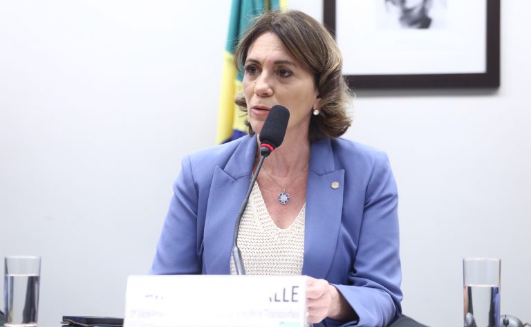 Comissão aprova divulgação online de dados sobre veículos apreendidos em 24h