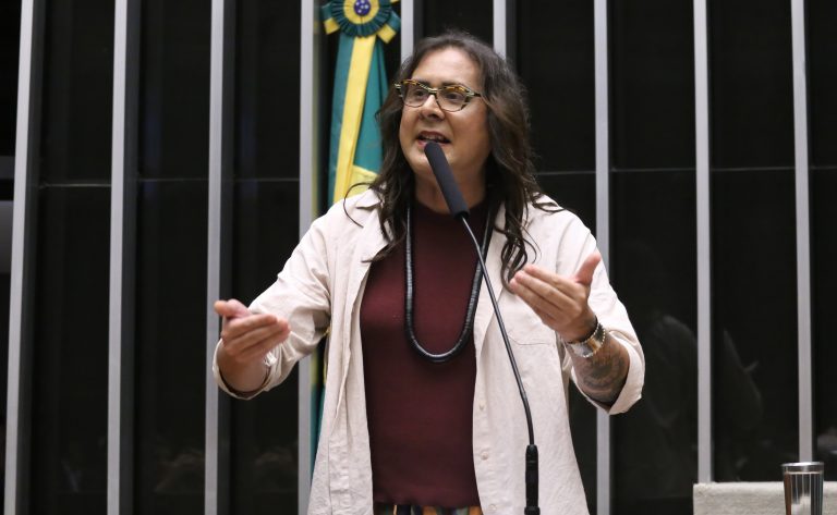 Comissão aprova obrigatoriedade de telhados verdes em novos prédios públicos