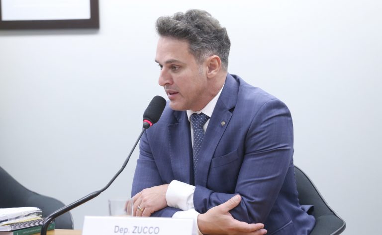 Comissão aprova programa para subsidiar compra da primeira arma de fogo