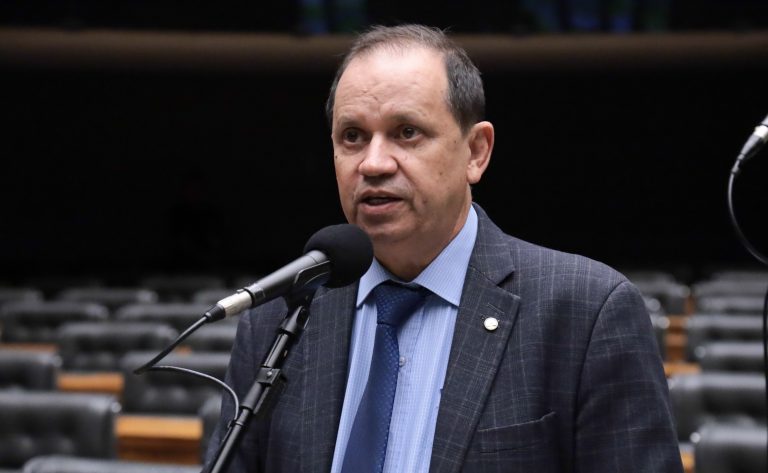 Comissão aprova regras para colas e objetos que podem ferir animais urbanos
