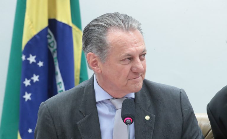 Comissão da Câmara cobra regulamentação de lei sobre cultivo de bambu após 13 anos