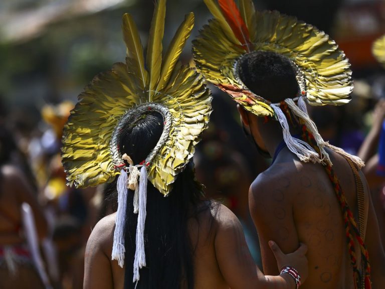 Comissão da Câmara debate acesso à justiça para comunidade Guarani do RJ