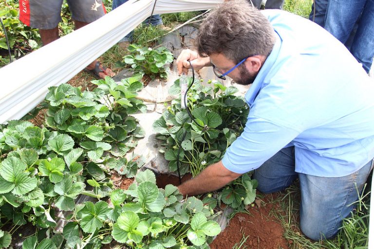 Comissão da Câmara debate ampliação da extensão rural no Nordeste