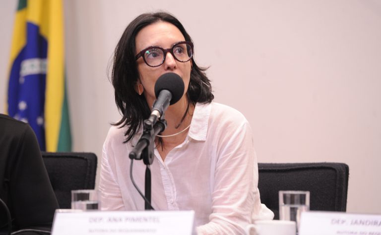 Comissão da Câmara debate apoio a produtores rurais da Zona da Mata mineira