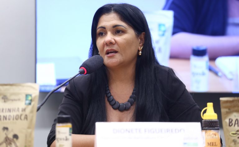 Comissão da Câmara debate criação da Política Nacional de Bioeconomia