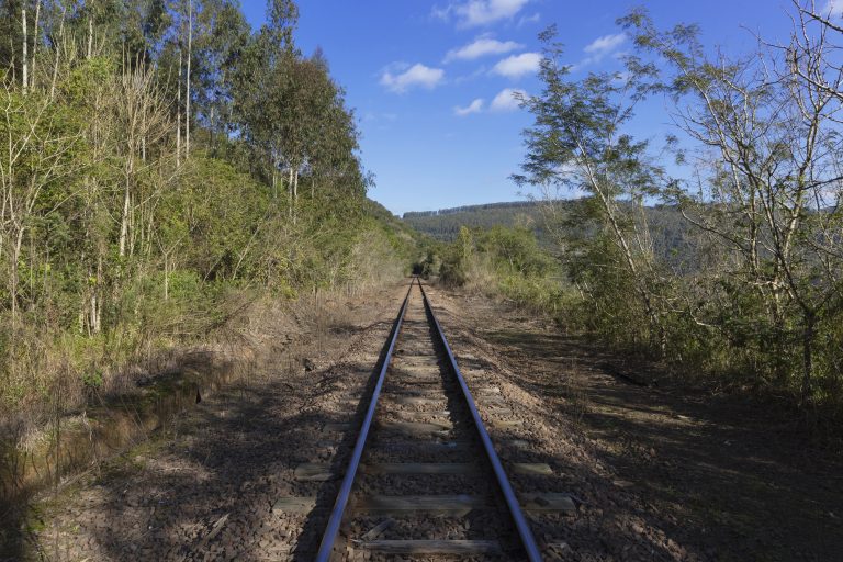 Comissão da Câmara debate futuro da concessão ferroviária da Rumo Malha Sul