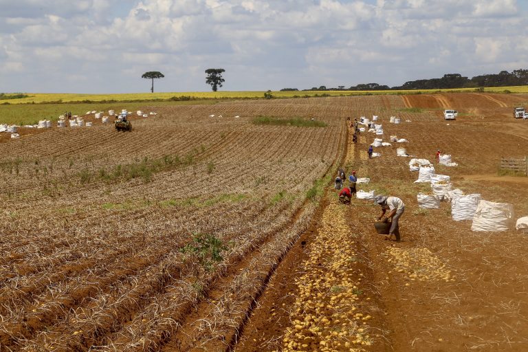 Comissão da Câmara debate novas regras para trabalhador agrícola safrista