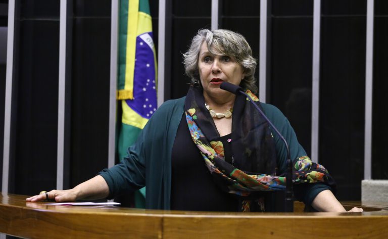 Comissão da Câmara debate participação infantojuvenil na COP30 em Belém