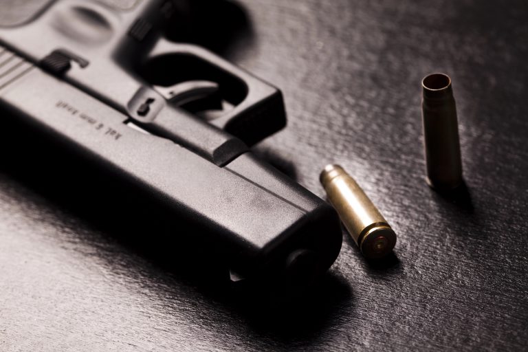 Comissão da Câmara debate vencimento em massa de registros de armas em julho