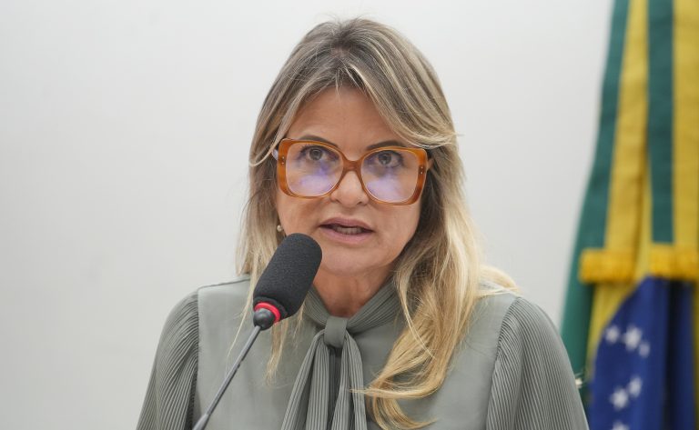 Comissão debate prevenção ao desaparecimento de 50 mil crianças por ano no Brasil