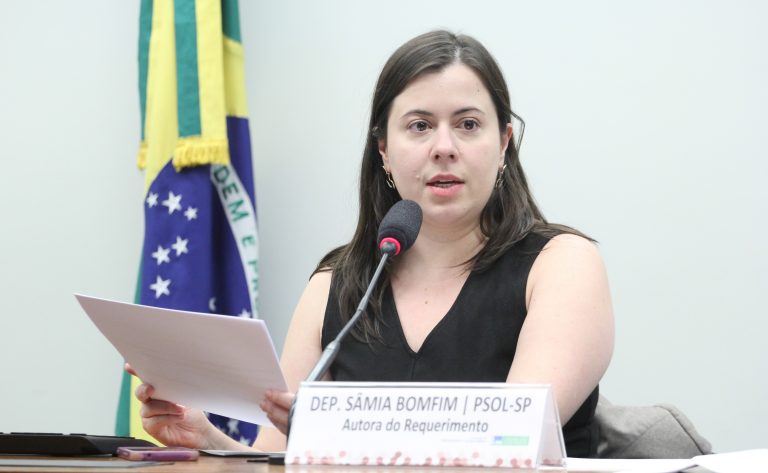 Comissão debate riscos da terceirização da fiscalização agropecuária