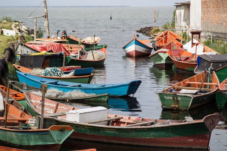 Comissão vota hoje novas regras do seguro-defeso para pescadores artesanais