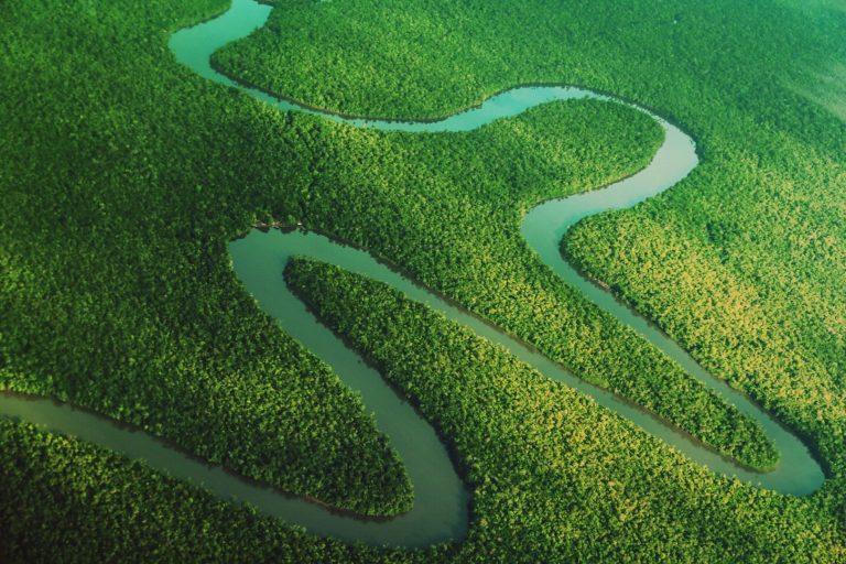 Comissões da Câmara debatem juventude na preparação da COP 30 em Belém