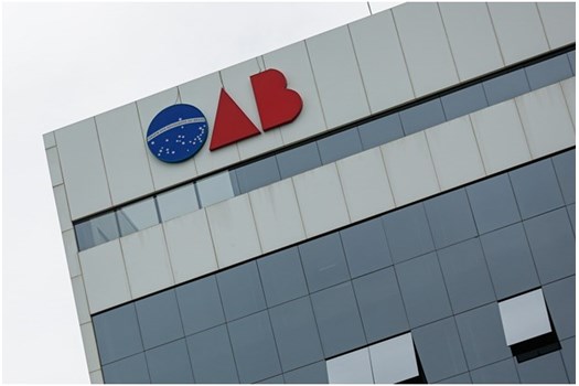 Comissões da OAB se unem em nota sobre maus-tratos a cão comunitário 'Orelha'